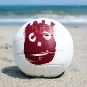 BALON VOLEY WILSON N°5